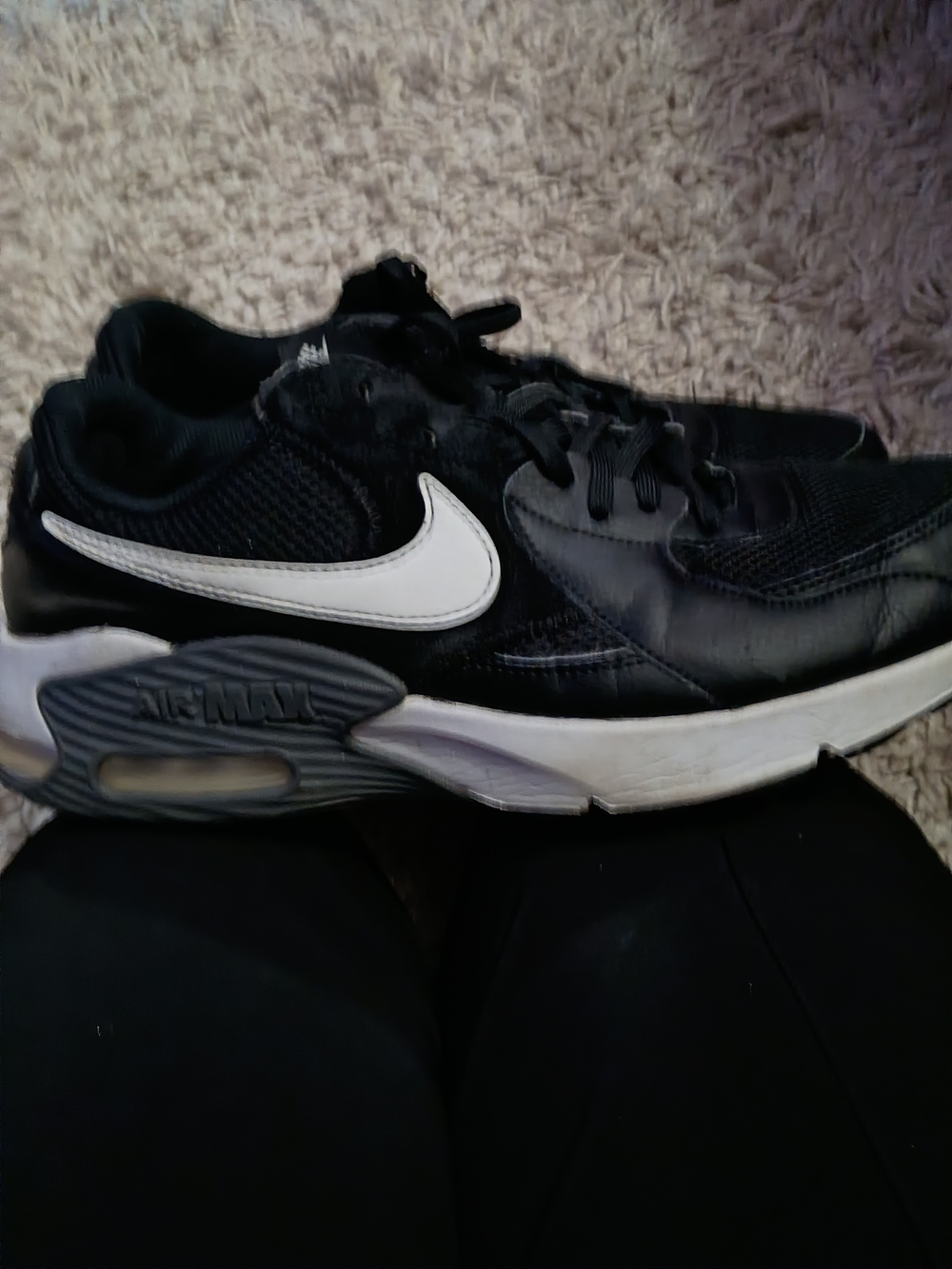 Nike Black and White Air Max Low-Top Sneaker